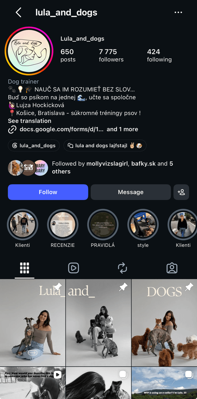 Instagram profil Lula & Dogs