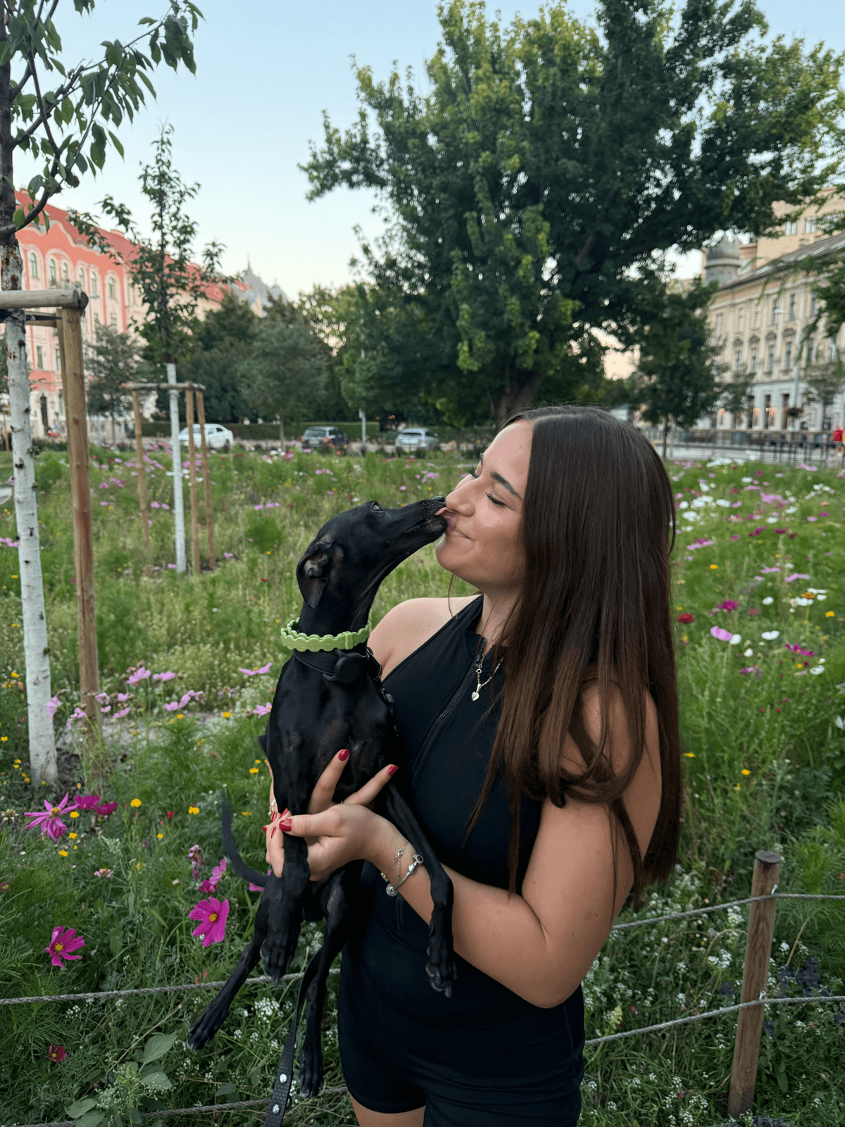 Individuálny tréning so psami